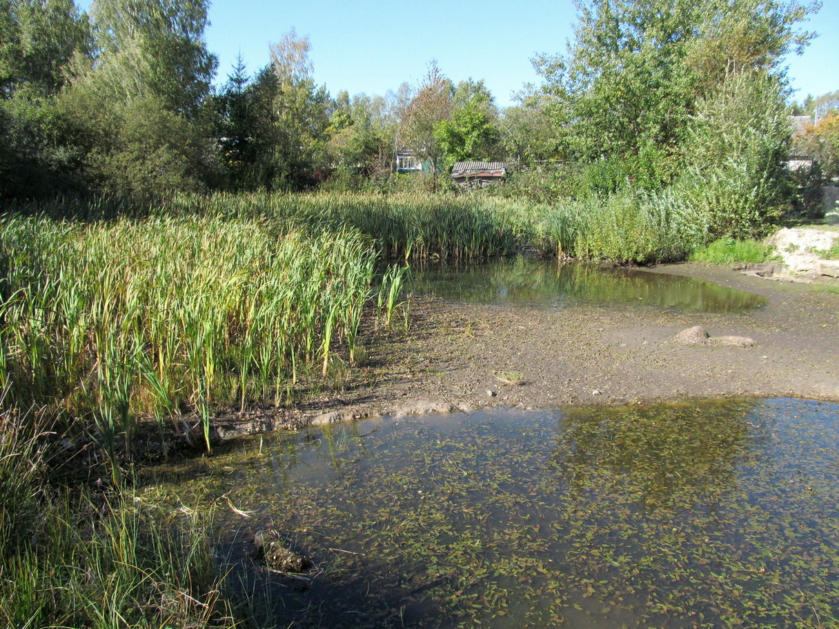 Здоровье-1, image of landscape/habitat.