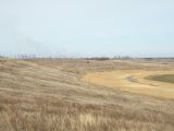 Image of landscape