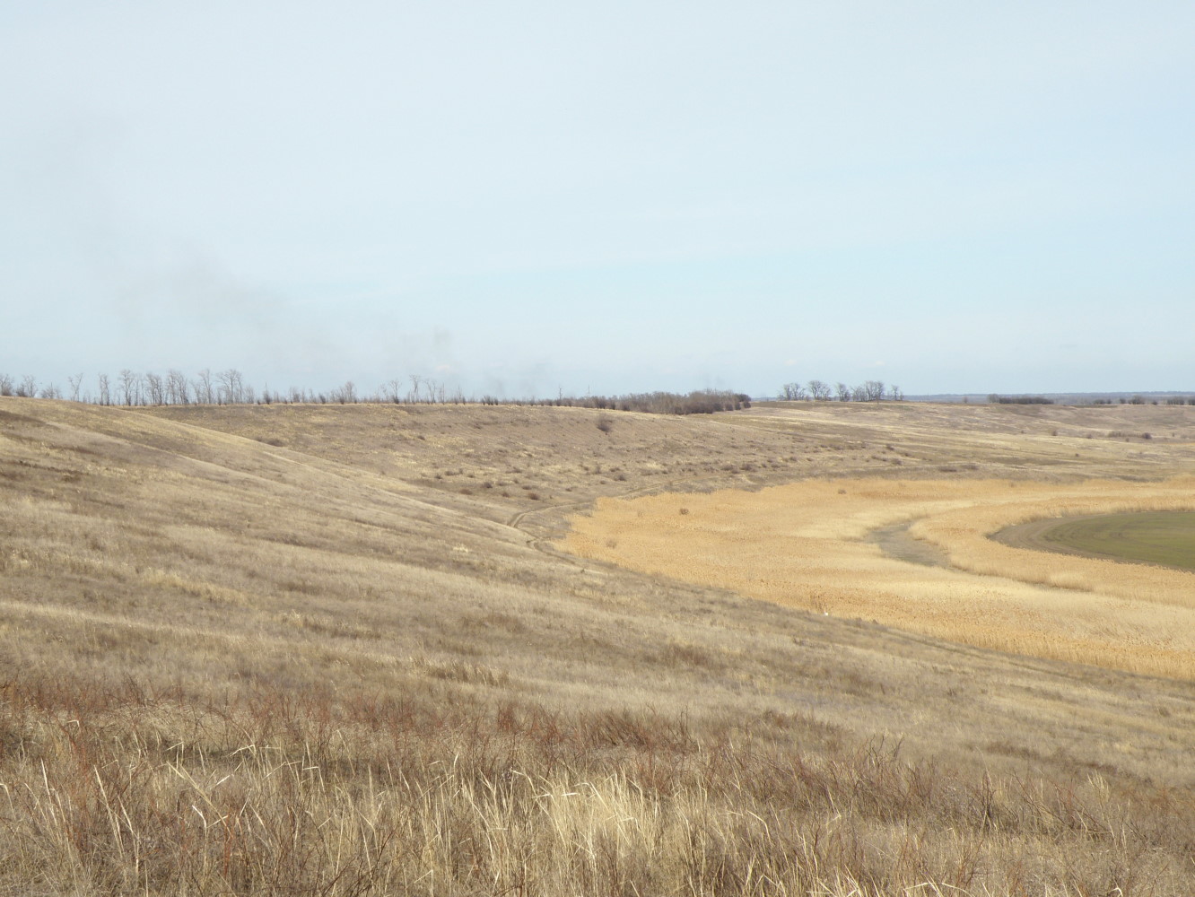 Урочище Бугелы, image of landscape/habitat.