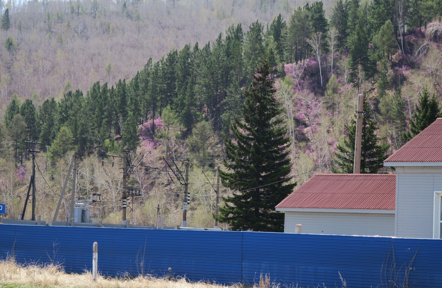 Татаурово, image of landscape/habitat.