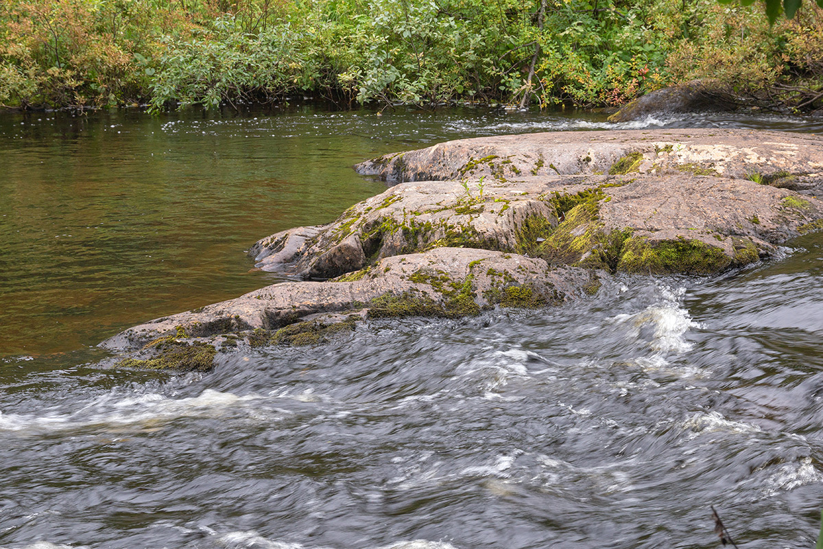 Лавна, image of landscape/habitat.