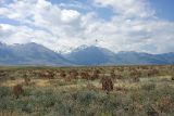 Image of landscape