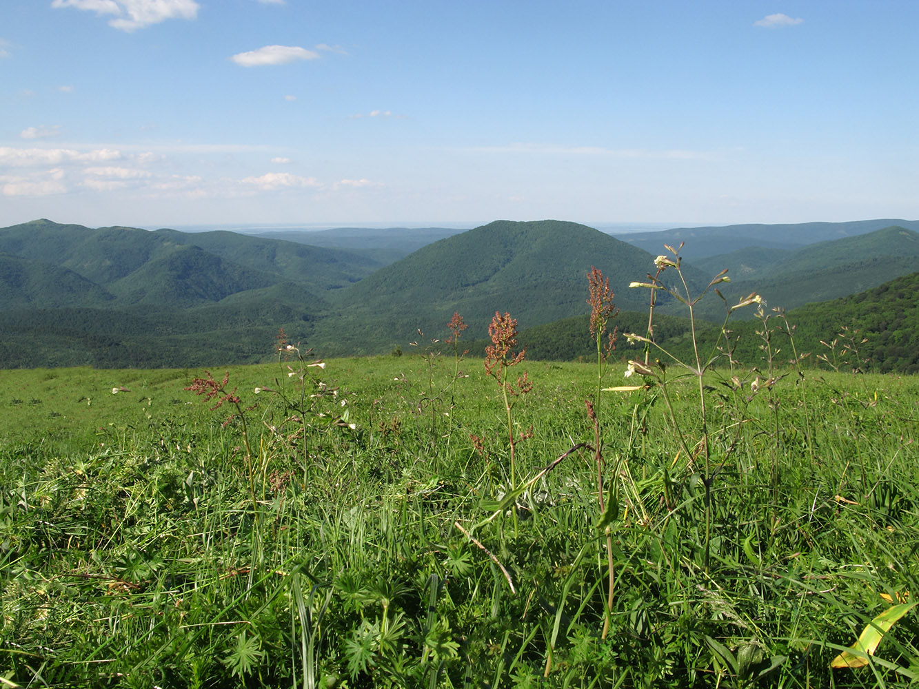 Гора Иорданова, image of landscape/habitat.