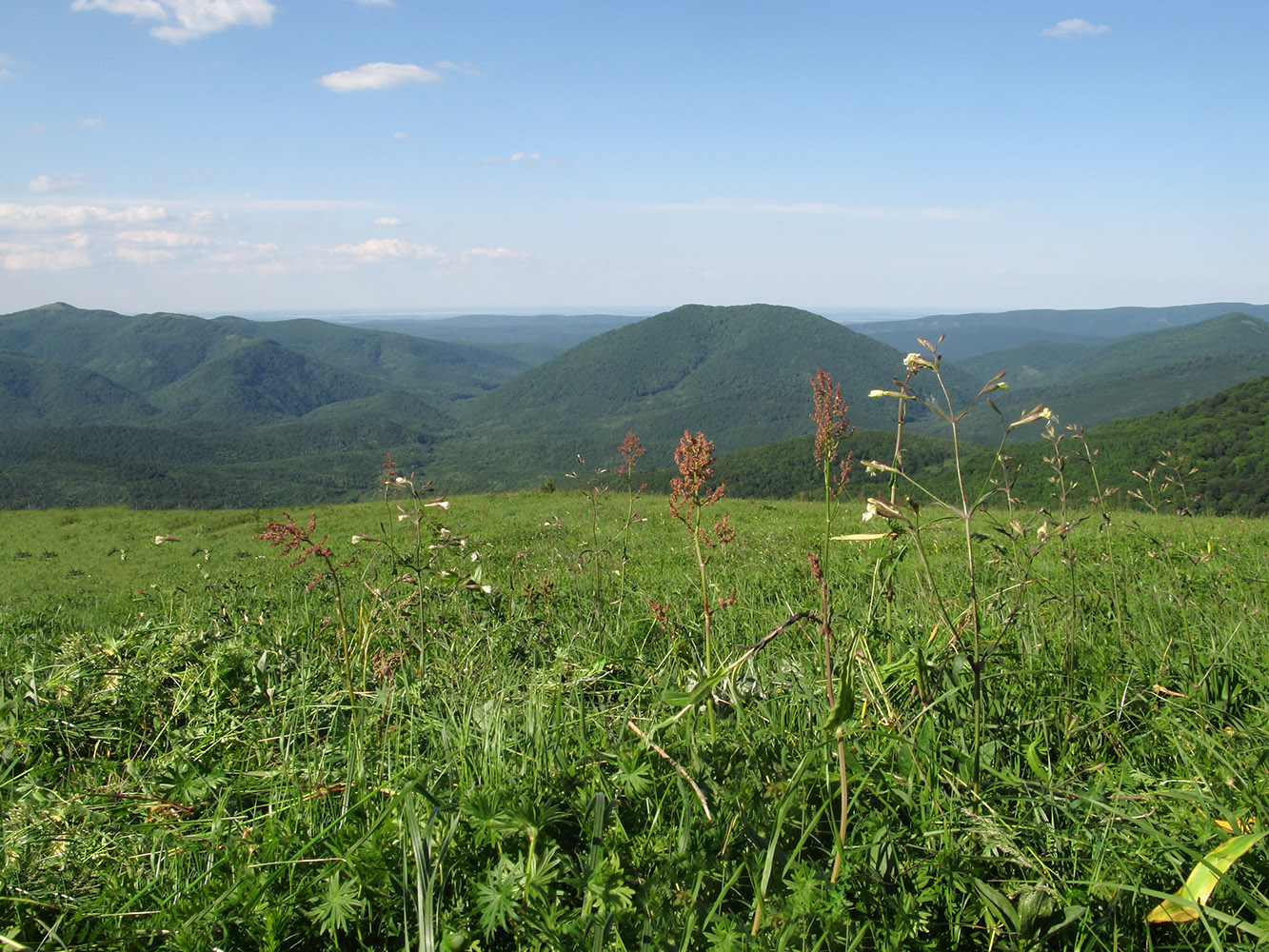 Гора Иорданова, изображение ландшафта.