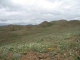 Image of landscape