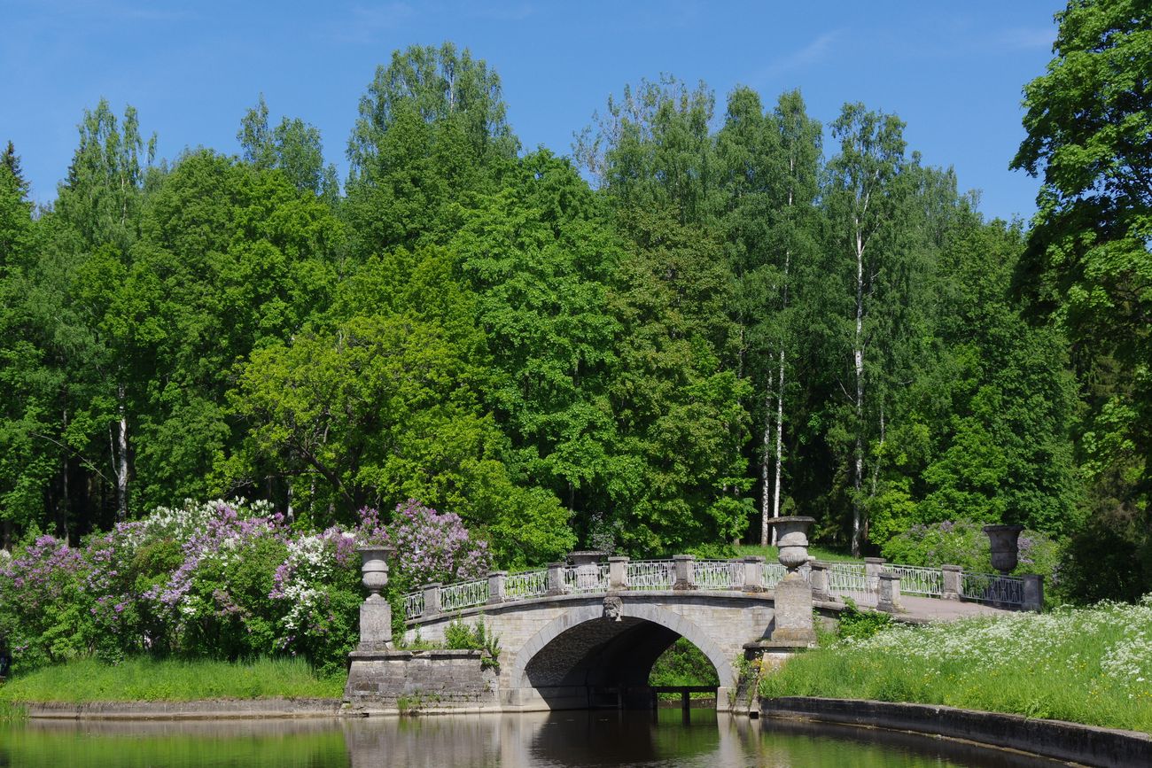 Павловск, image of landscape/habitat.