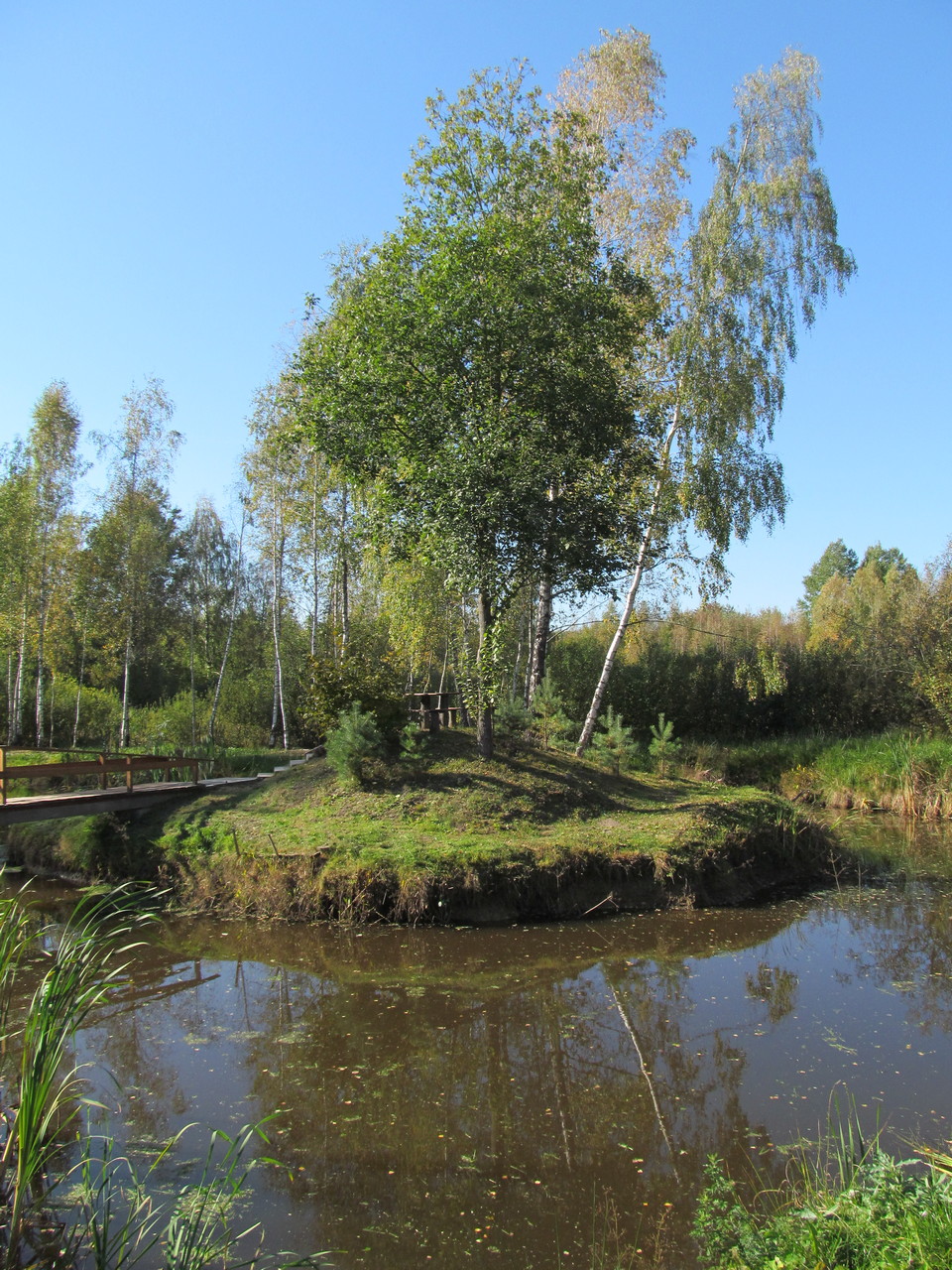 Здоровье-1, image of landscape/habitat.