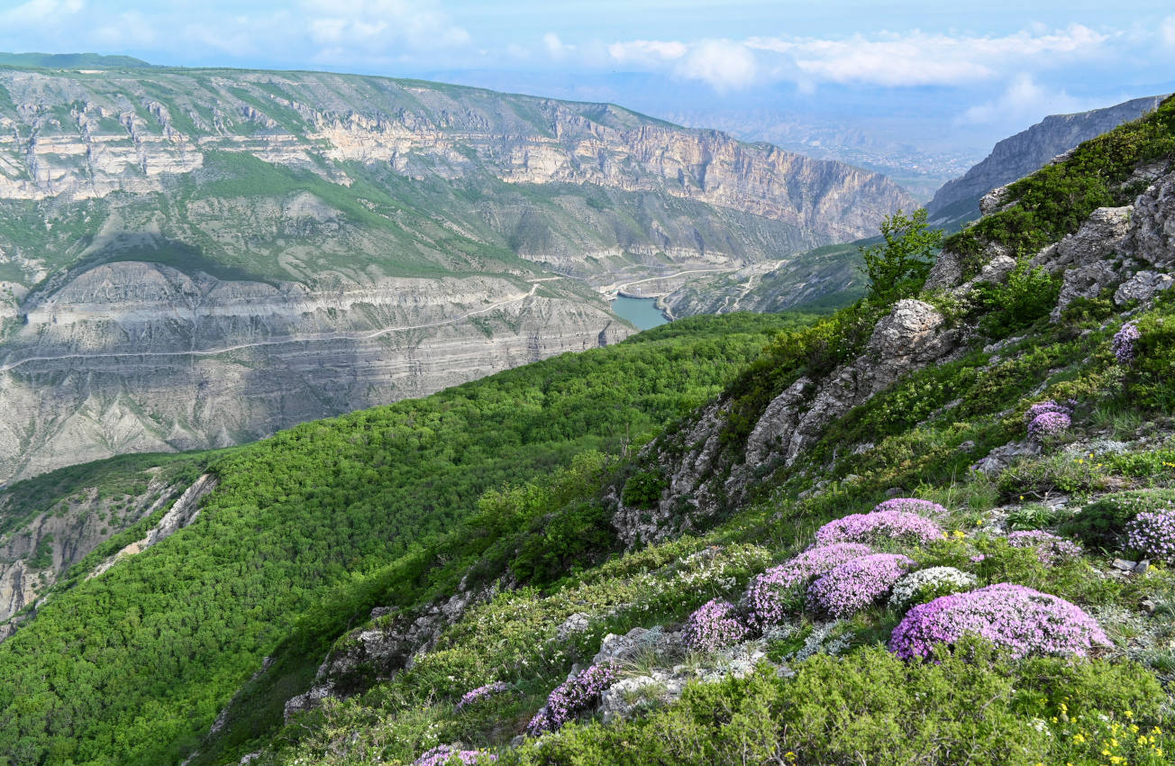 Сулакский каньон, image of landscape/habitat.