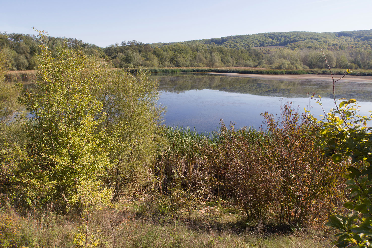 Шибик, image of landscape/habitat.