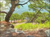 Image of landscape