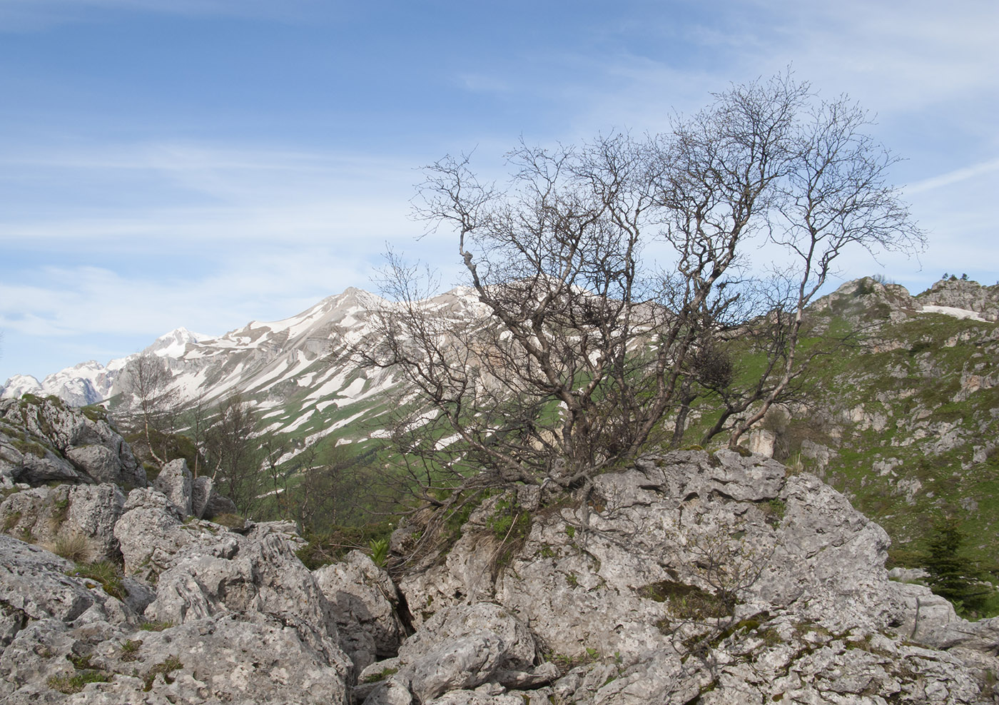 Каменное Море, image of landscape/habitat.