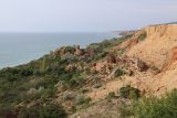 Любимовка, image of landscape/habitat.