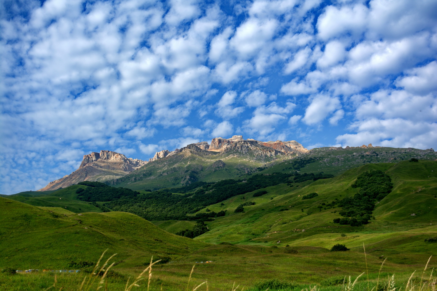 Гора Шалбуздаг, image of landscape/habitat.