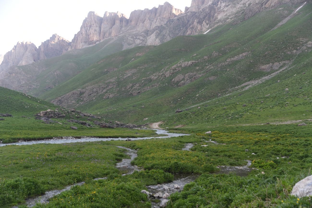 Кырыкдаг Яйла, image of landscape/habitat.