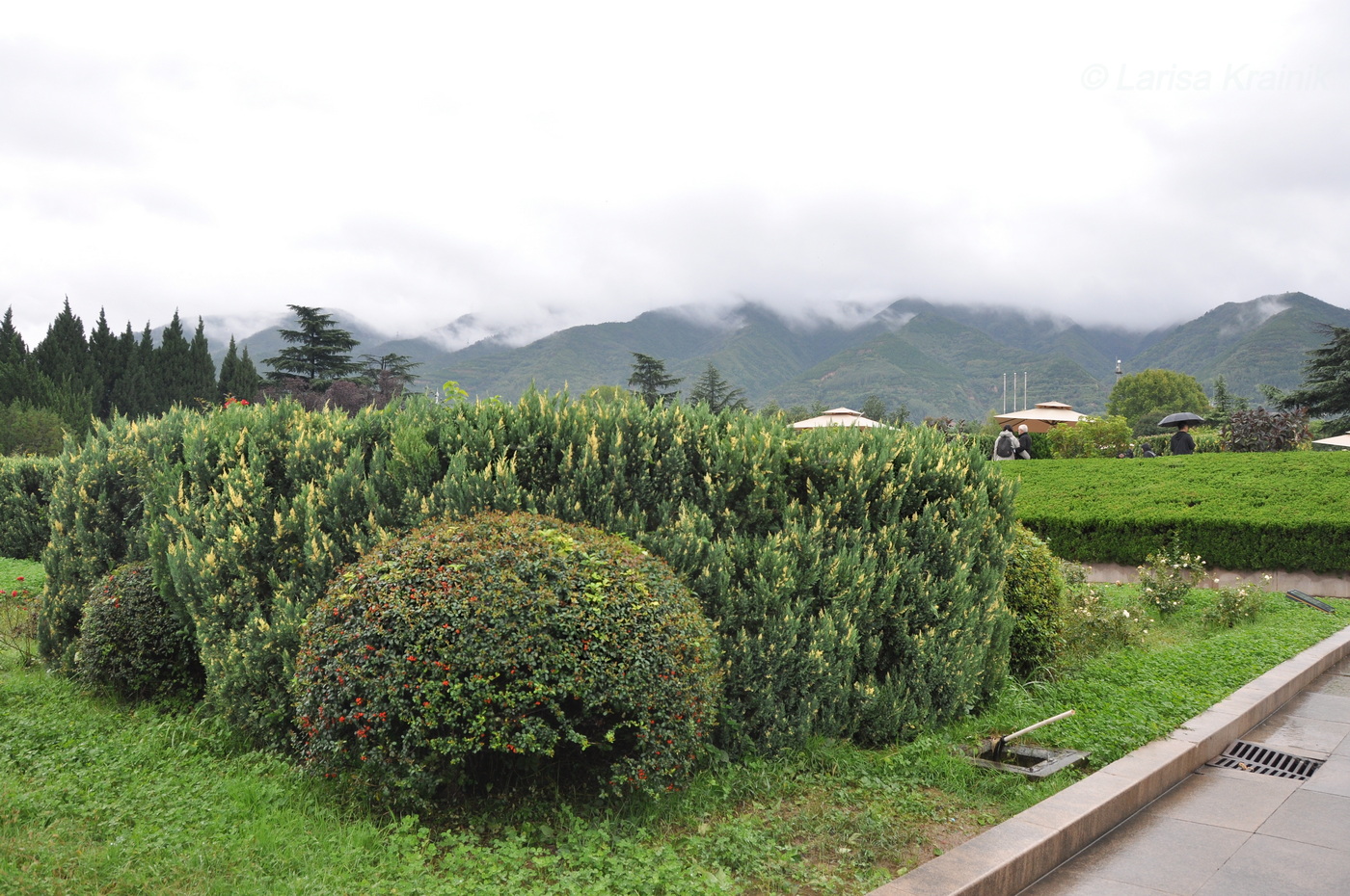 Сиань, image of landscape/habitat.