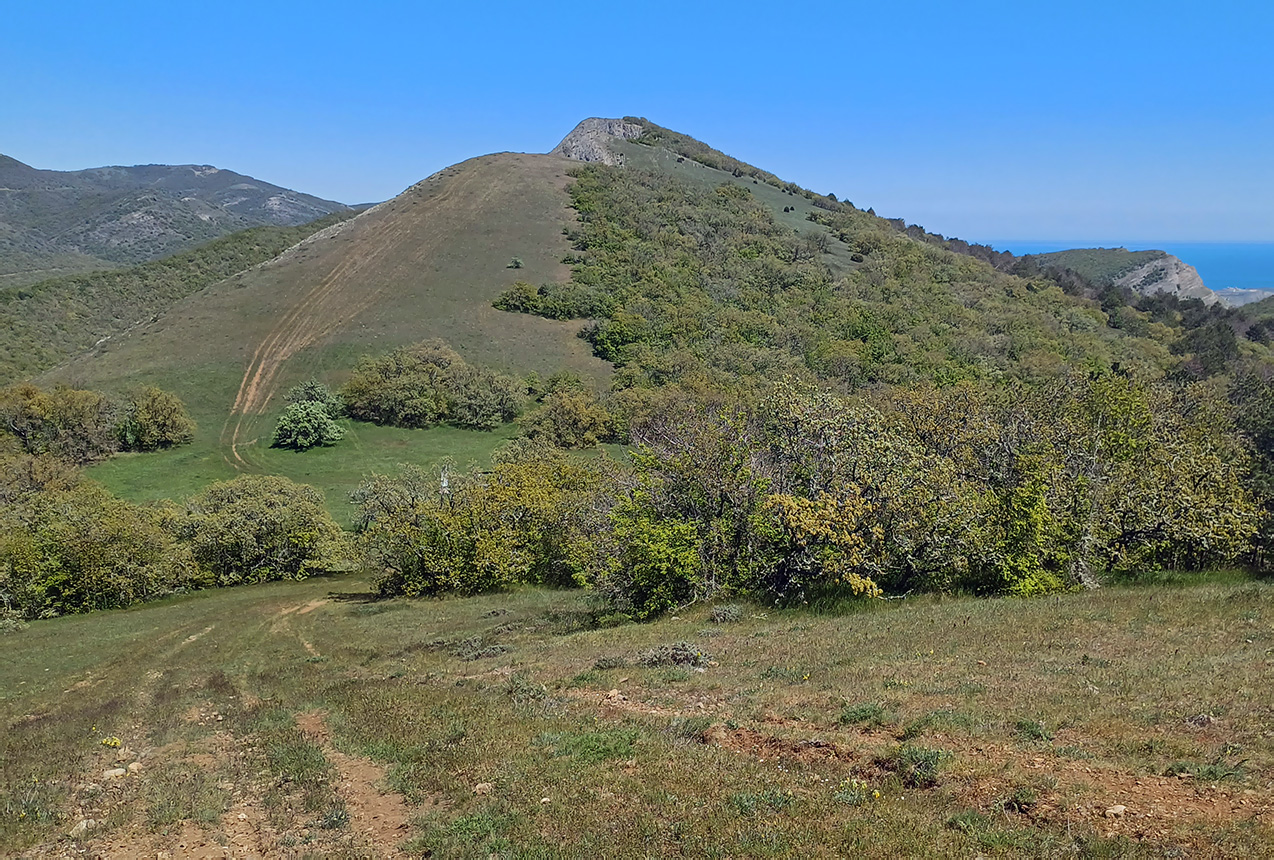 Хребет Токлук-Сырт, изображение ландшафта.