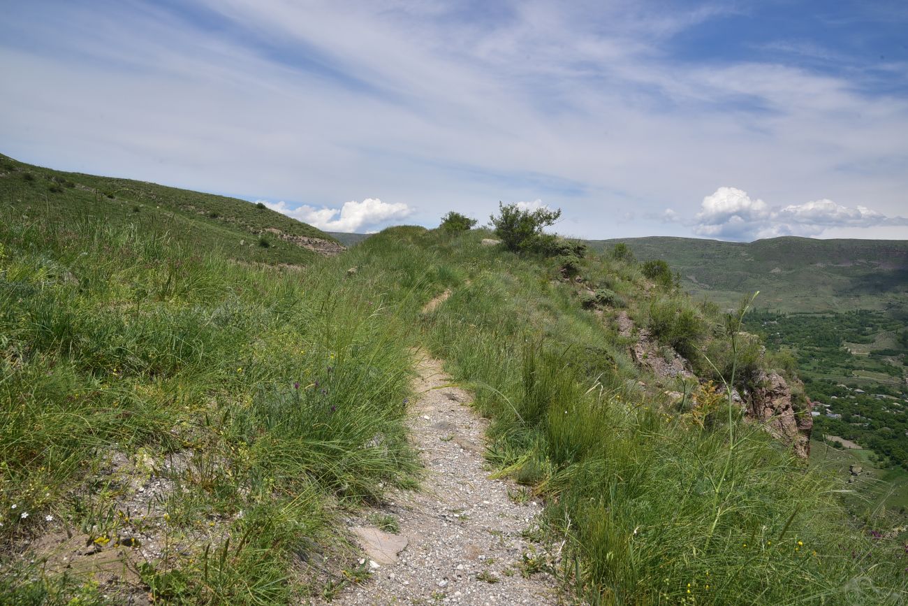 Окрестности крепости Тмогви, image of landscape/habitat.