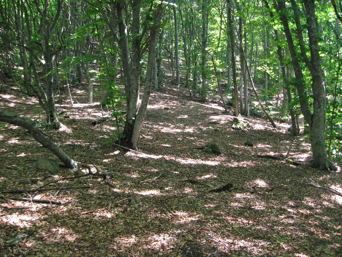 Долгоруковская яйла, image of landscape/habitat.