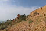 Image of landscape