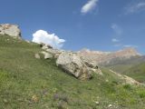 Image of landscape