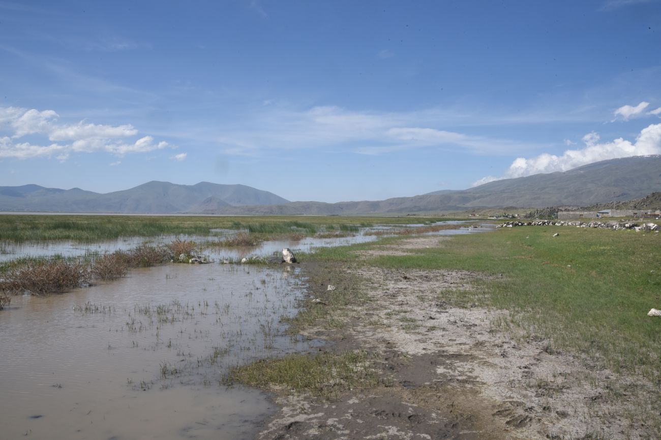 Озеро Шейхли, image of landscape/habitat.