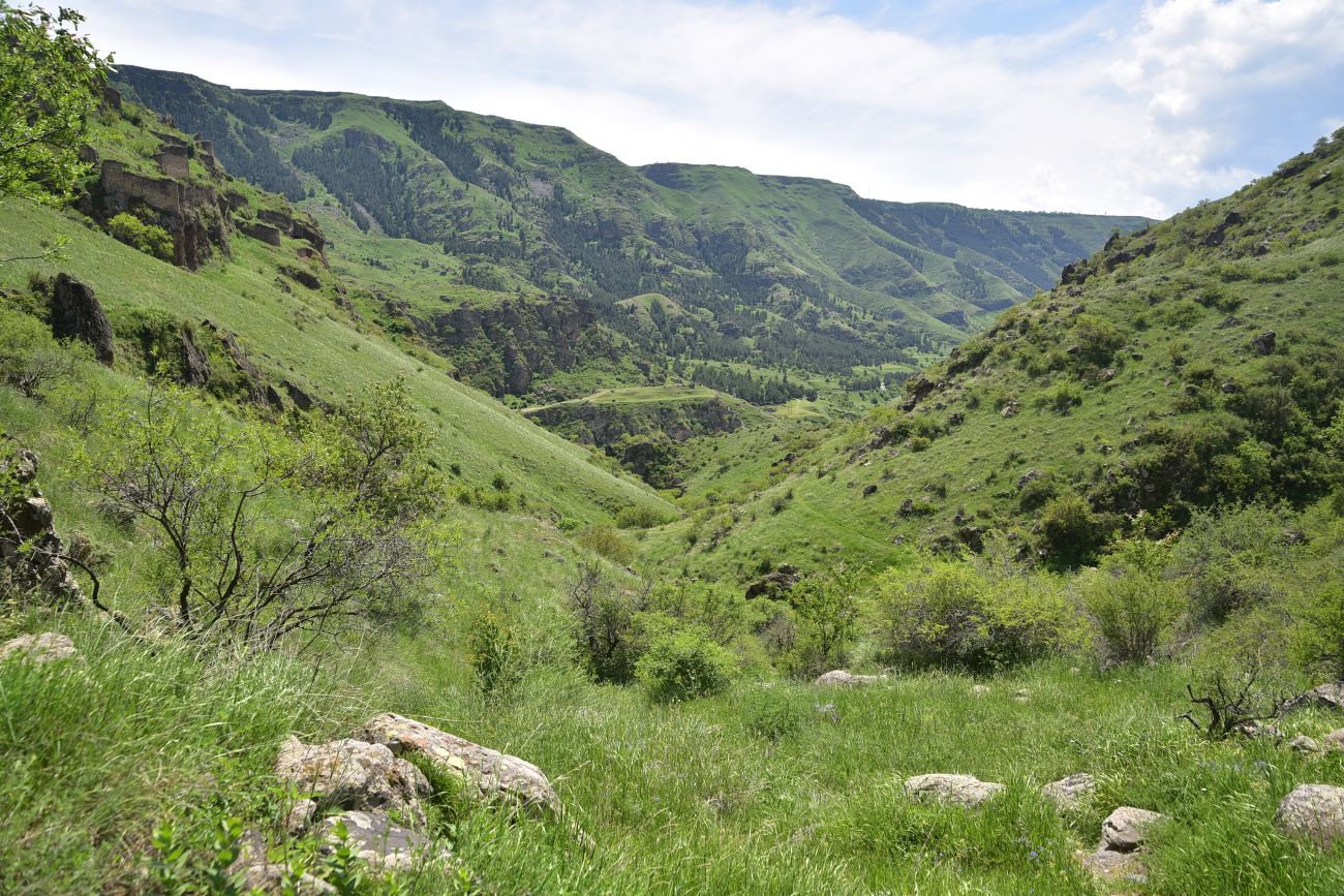 Окрестности крепости Тмогви, image of landscape/habitat.