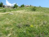 Image of landscape