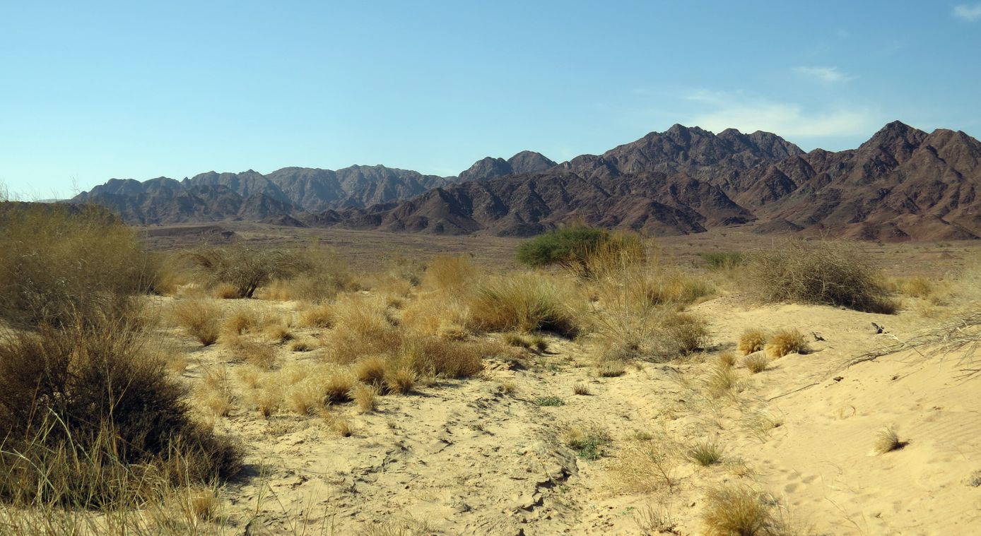 Эйлатские горы, image of landscape/habitat.