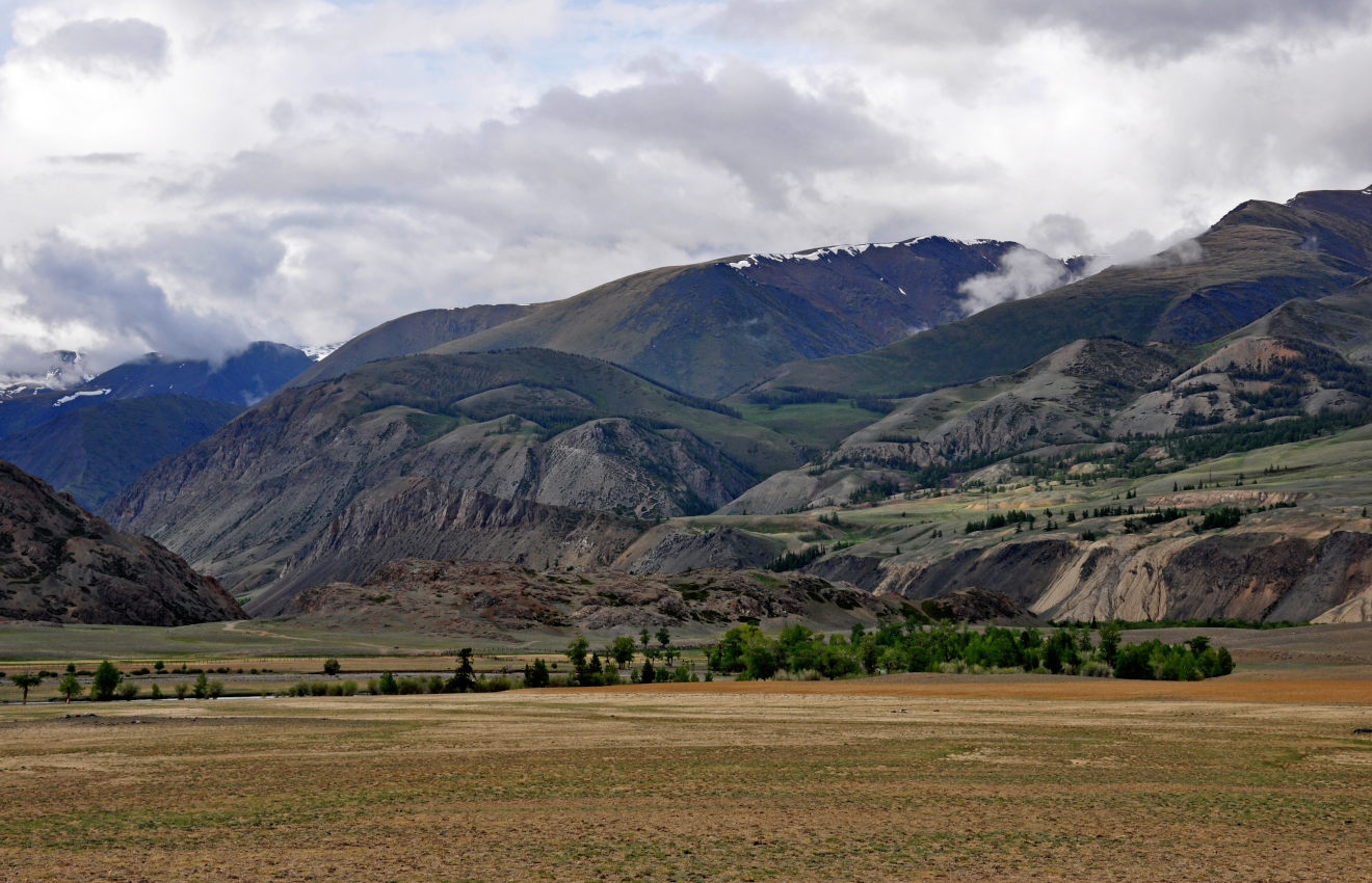 Долина реки Чаган-Узун, image of landscape/habitat.