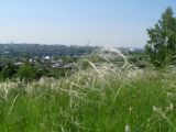 Image of landscape