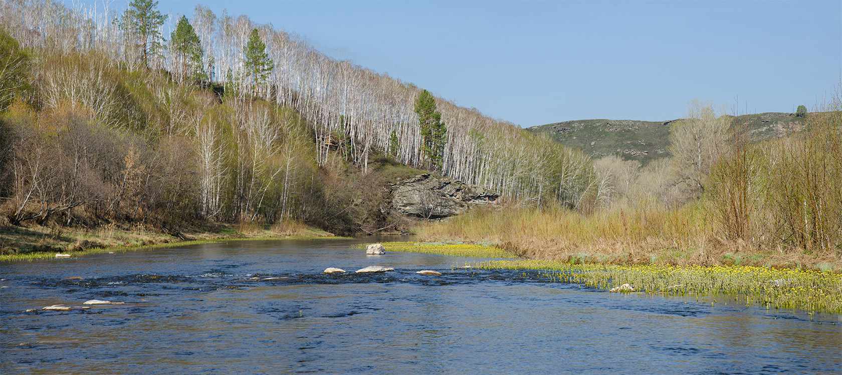 Окрестности Верхнегалеево, image of landscape/habitat.