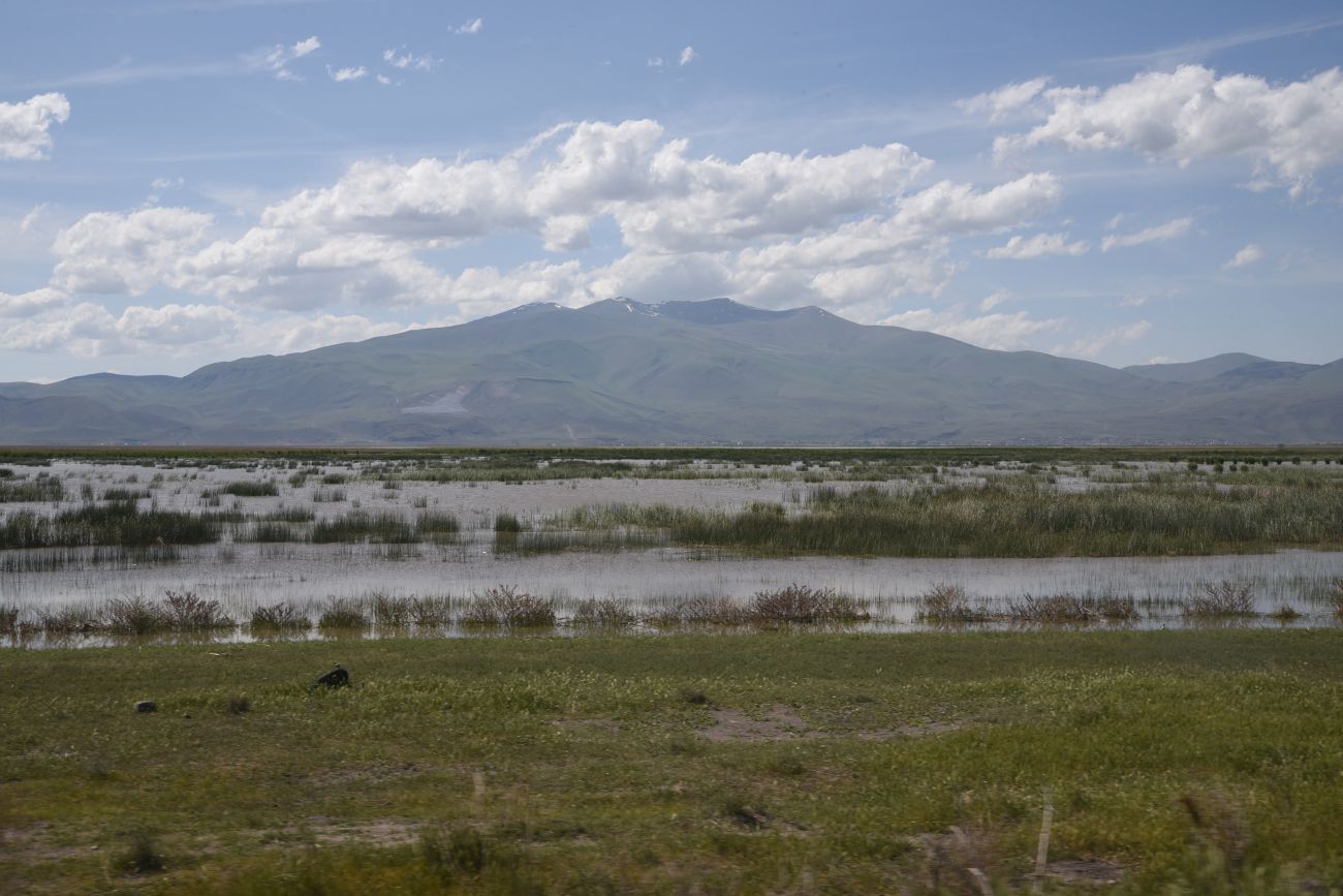 Озеро Шейхли, image of landscape/habitat.