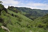 Окрестности крепости Тмогви, image of landscape/habitat.