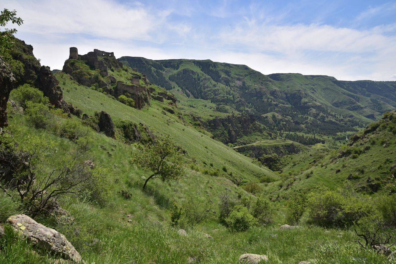Окрестности крепости Тмогви, image of landscape/habitat.