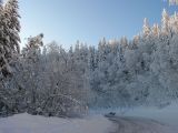 Хребет Большой Ян, image of landscape/habitat.