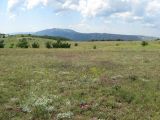 Image of landscape