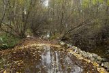 Верховья Оредежа, image of landscape/habitat.