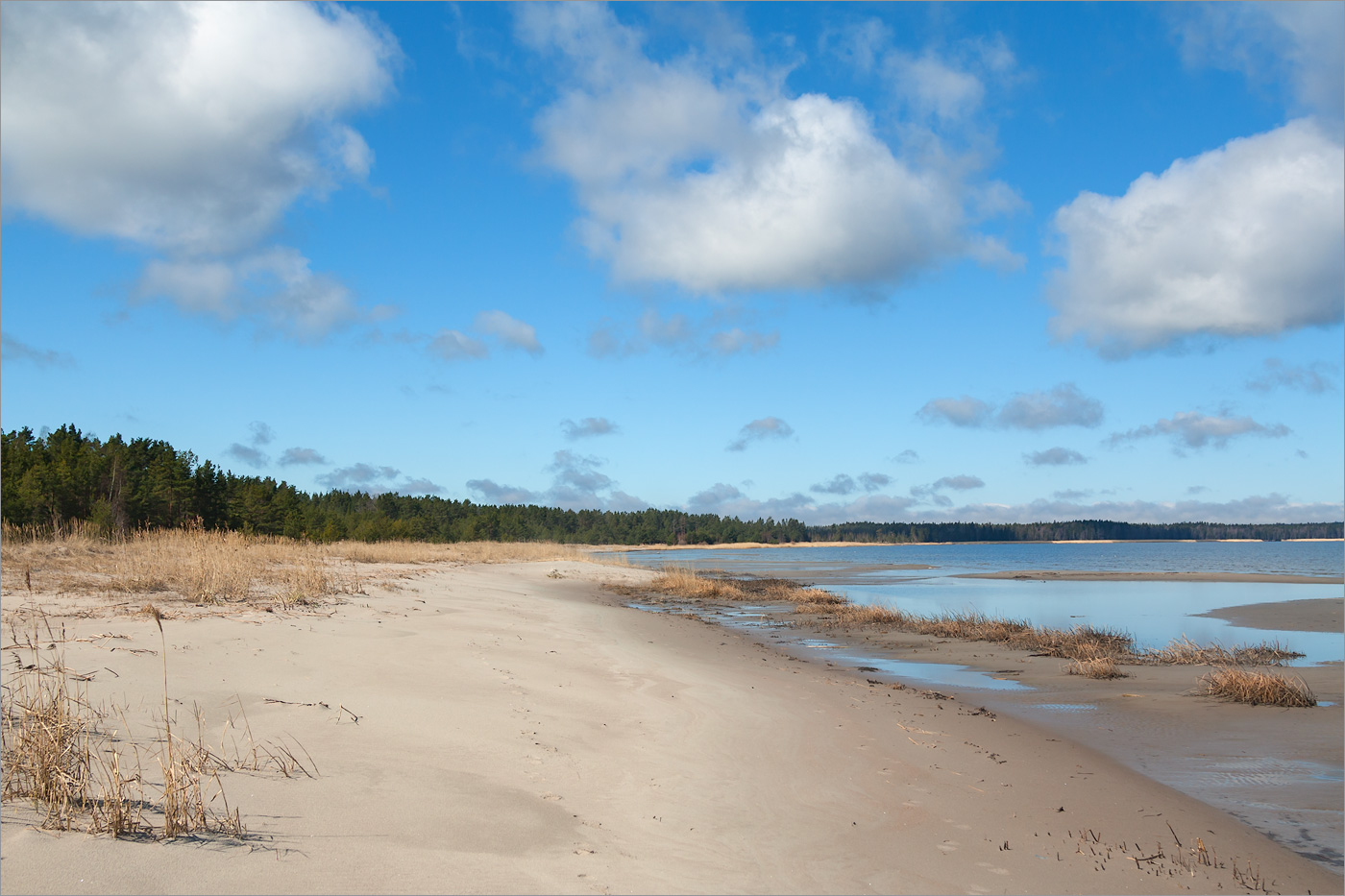 Окрестности деревни Выбье, image of landscape/habitat.