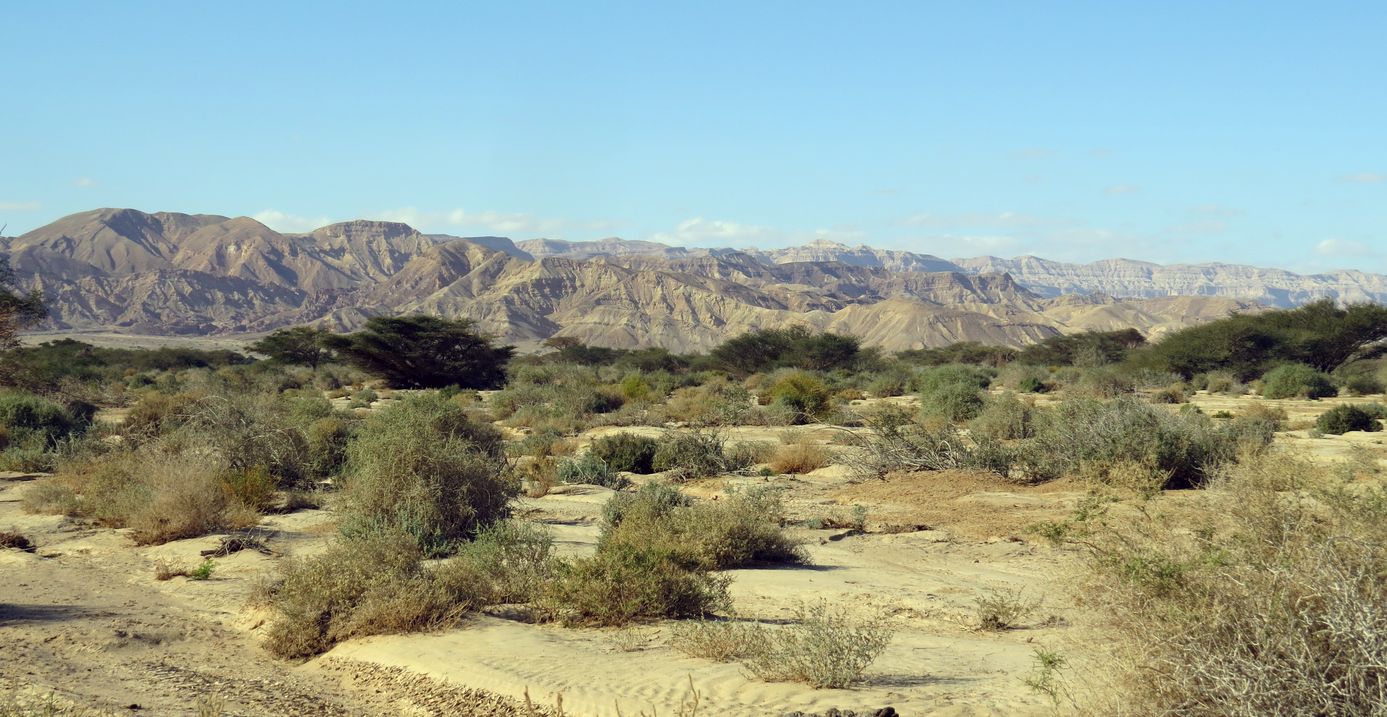 Солончак Эврона, image of landscape/habitat.