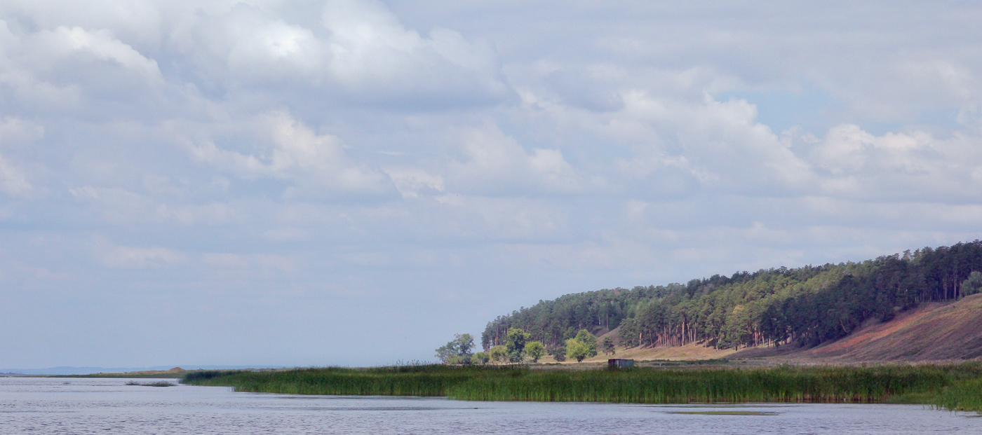 Окрестности села Красный Бор, image of landscape/habitat.