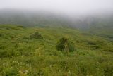 Landscape image