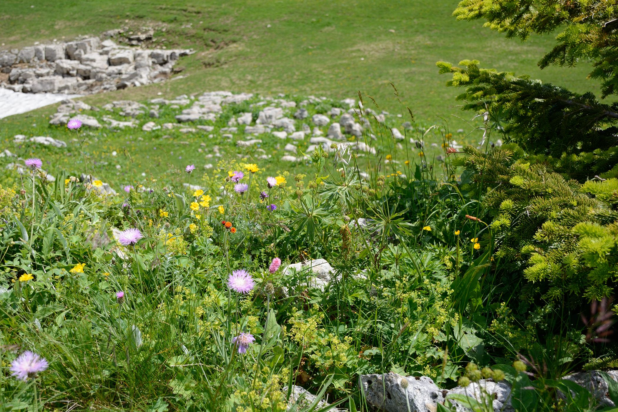 Каменное Море, image of landscape/habitat.