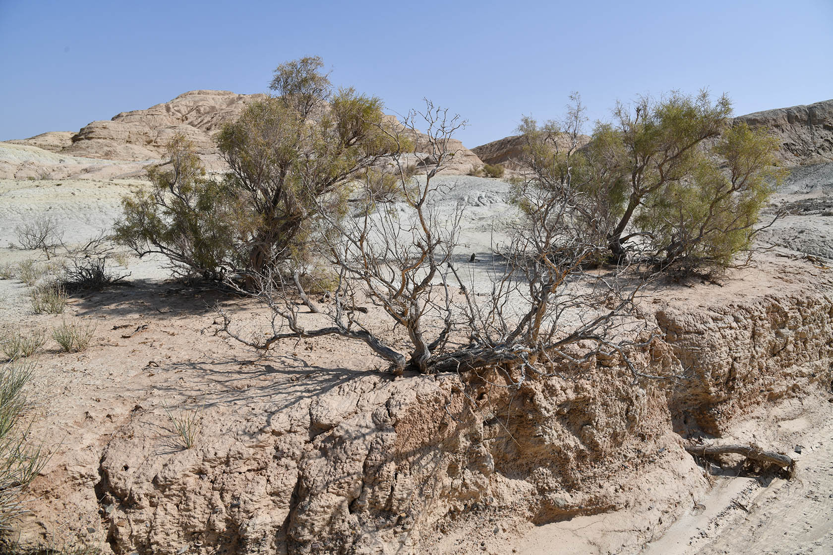 Горы Улькен-Богуты, image of landscape/habitat.