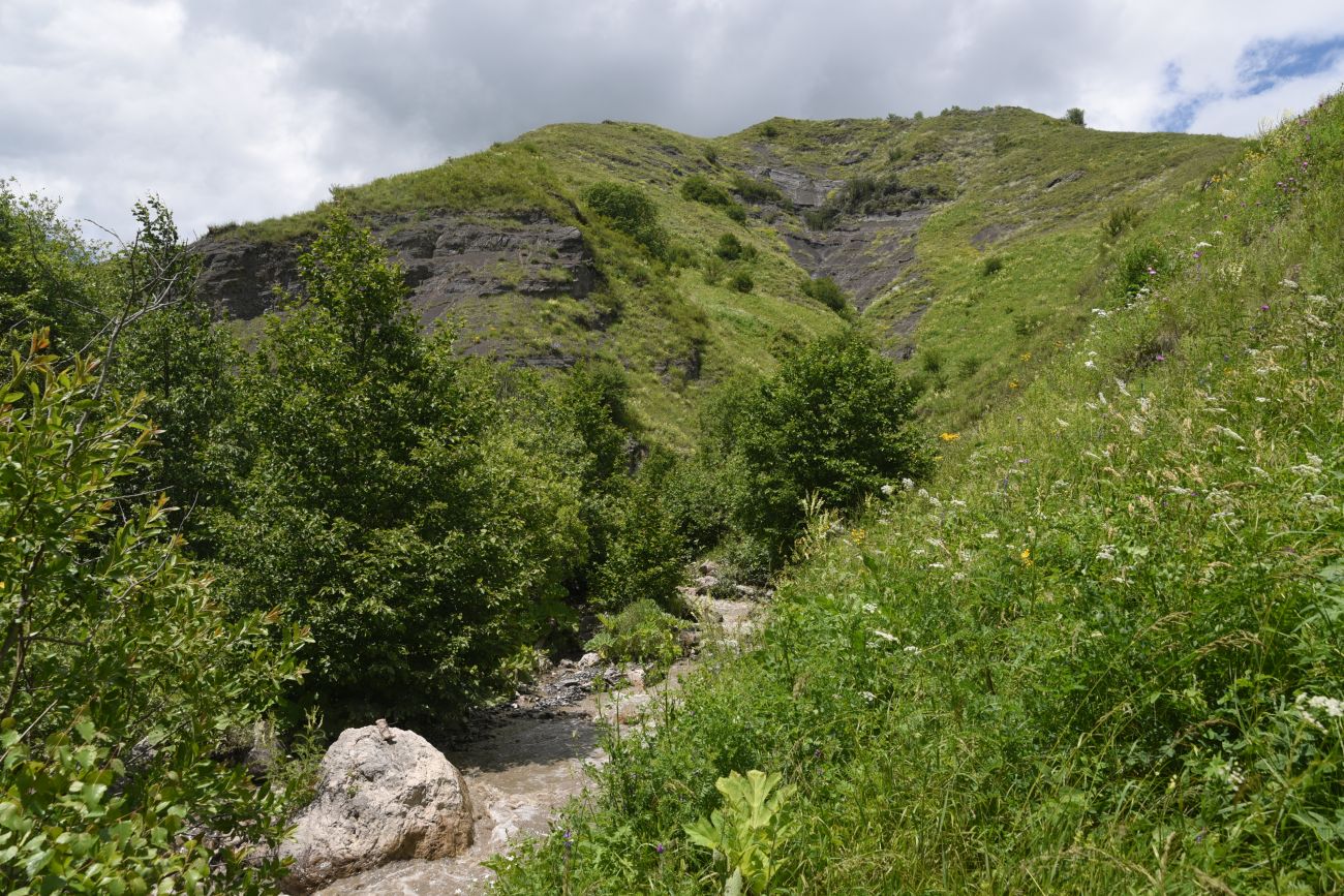 Верховья Цесиахк, image of landscape/habitat.