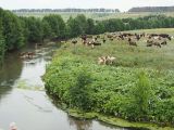 Долины рек Авраль, изображение ландшафта.