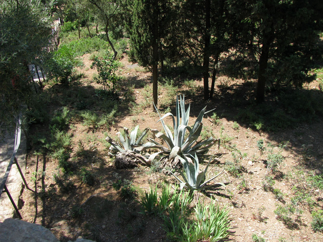 Барселона, image of landscape/habitat.