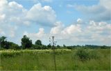 Image of landscape