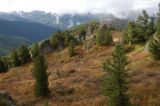 Image of landscape