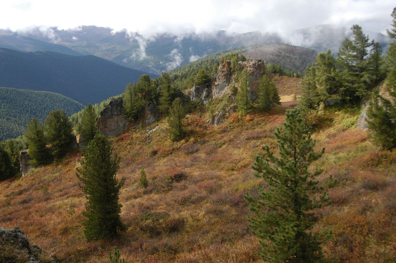 Водораздел р. Аккем и р. Аргут, image of landscape/habitat.