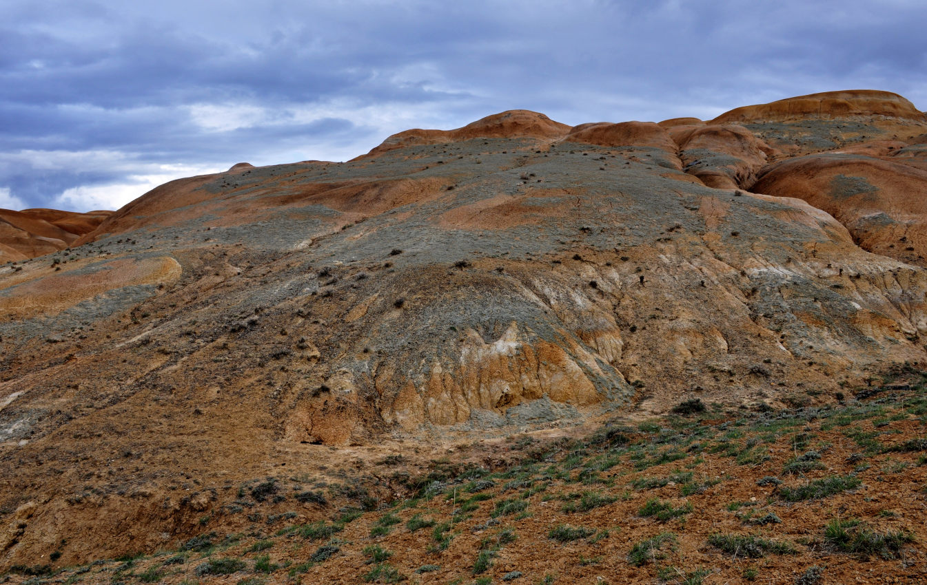 Долина реки Чаган-Узун, image of landscape/habitat.